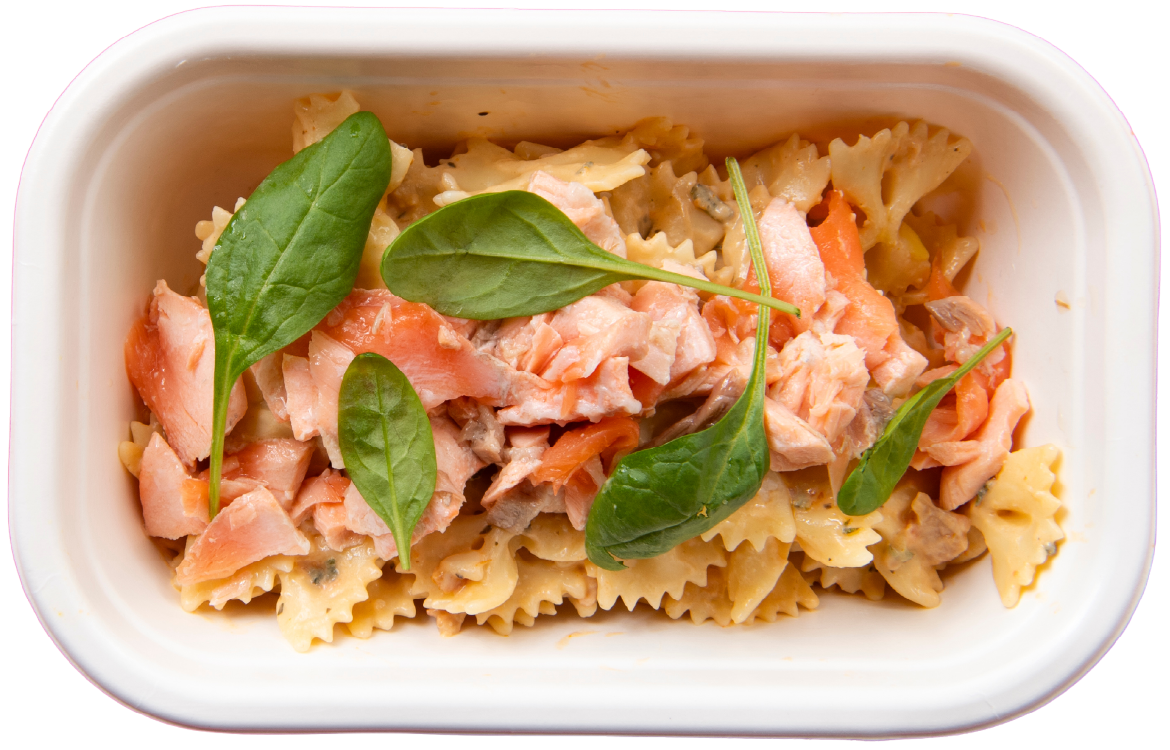 Droogtrainen - Pasta zalm